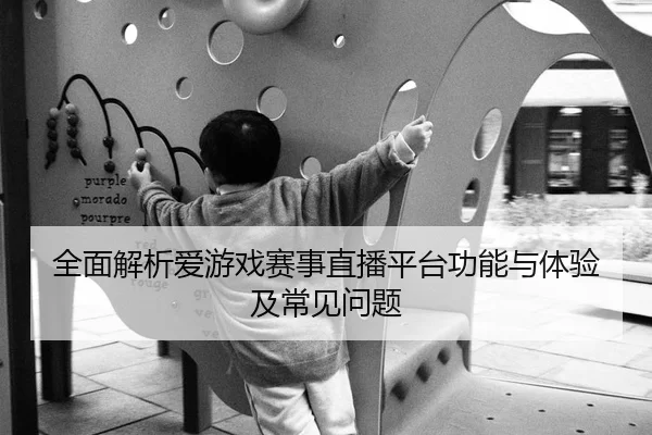 全面解析爱游戏赛事直播平台功能与体验及常见问题